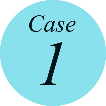 case01