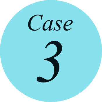 case03